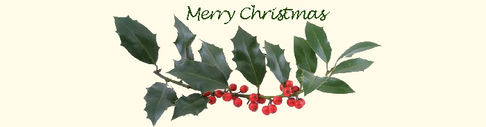 Merry Christmas