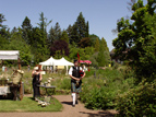 Hier geht es zu den Bildern und Informationen zum englischen Gartenfest in Kerkrade